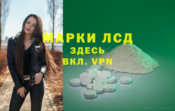 СК Сатка