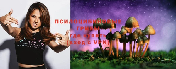Альфа ПВП Богородицк