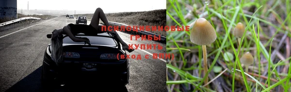 метамфетамин Богданович