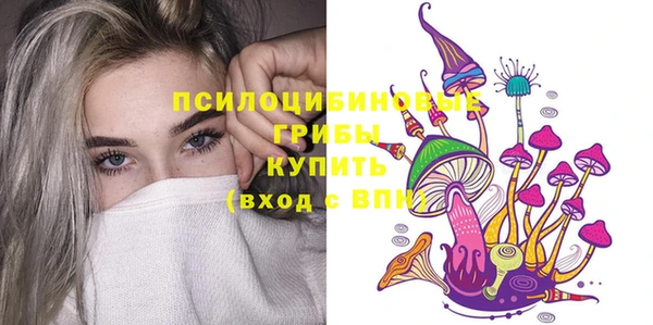 ешки Богородск